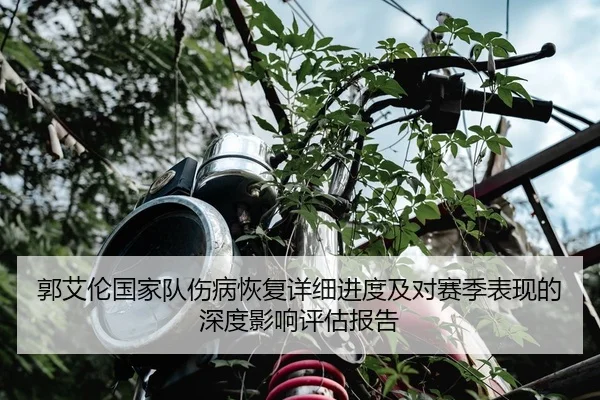 郭艾伦国家队伤病恢复详细进度及对赛季表现的深度影响评估报告